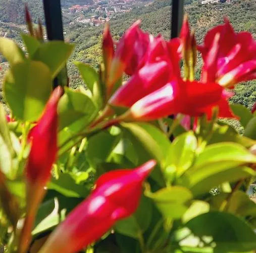 Casa Sofia Apartmán